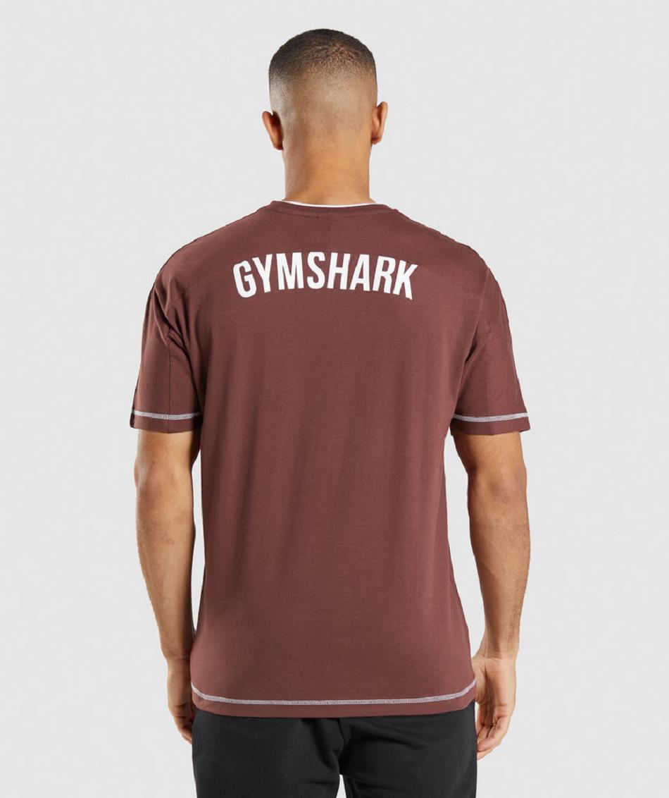 T Shirts Męskie Gymshark Recess Różowe Brązowe Białe | PL 3847DFM